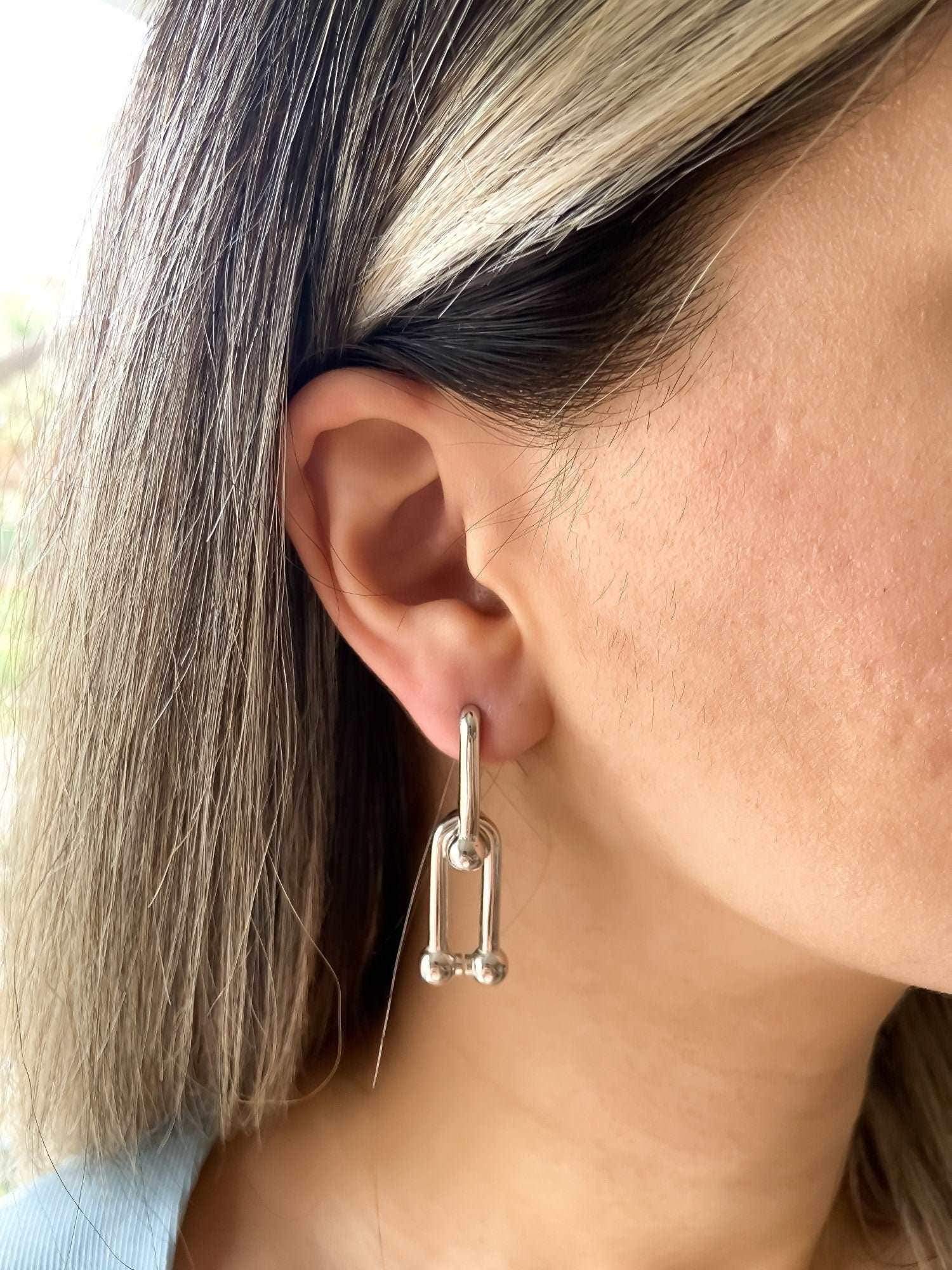 925 Sterling Silver Tiffanys And Co Jewelry Earrings For Women - Tracesilver