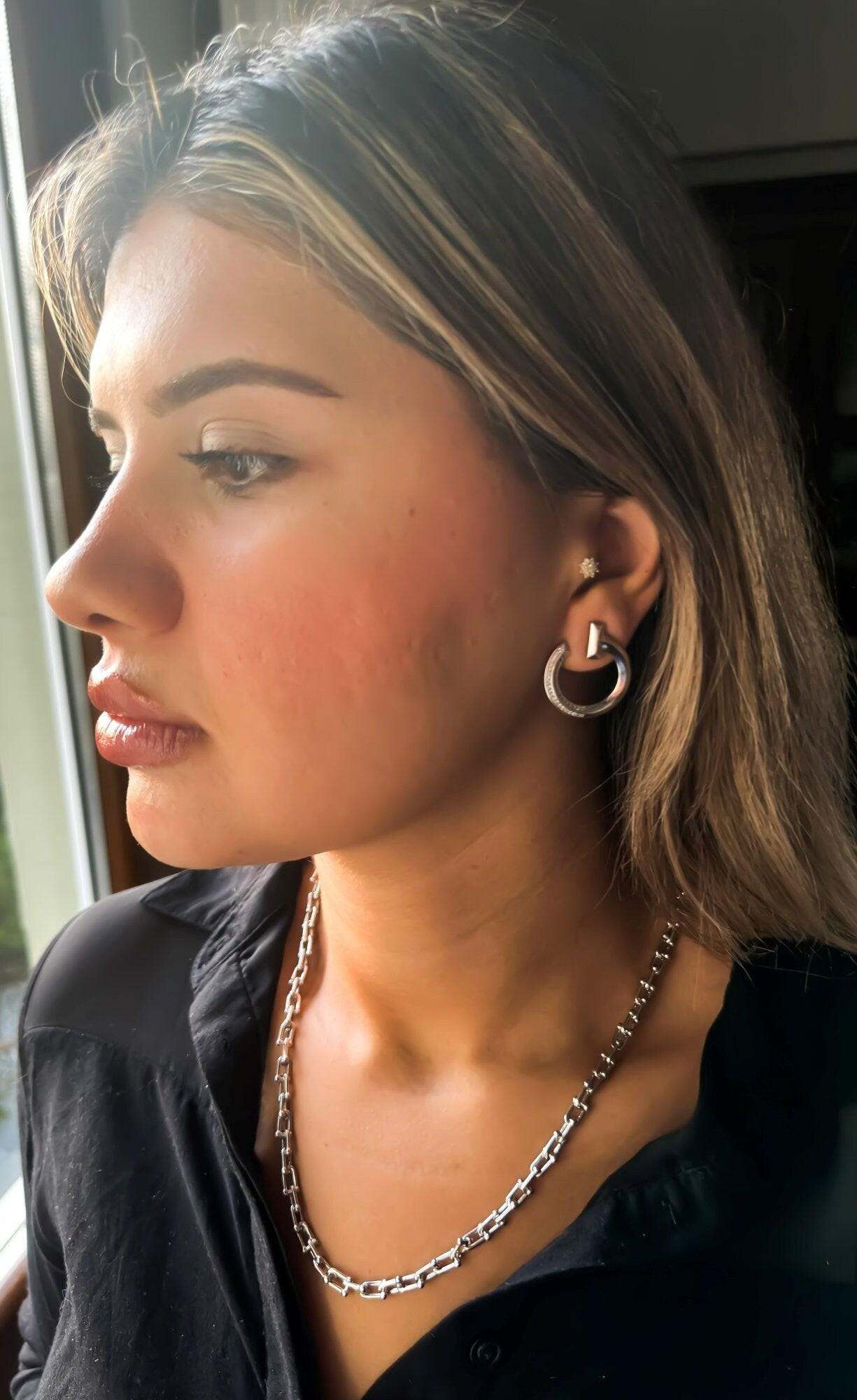 Tiffany & Co 925 Sterling Silver Luxury Jewelry Zircon Stone Earrings - Tracesilver