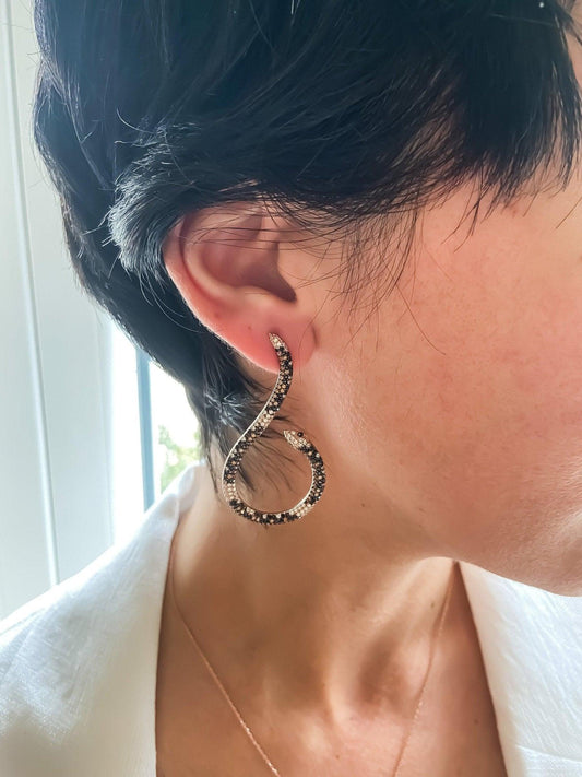 Snake Earrings 925 Sterling Silver Animal Earrings, Snake Lover Earrings For Women, Custom Desing Handmade Zircon Stone Snake Earrings - Tracesilver